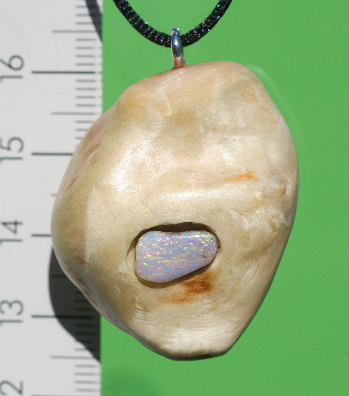 Baumperle von der Pappel mit einem farbenreichen Opal 