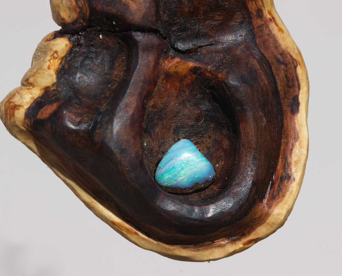 Baumperle von der Buche mit einem blauen Opal Baumperle von der Buche mit einem blauen Opal